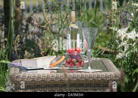 Londra, Regno Unito. 8 Luglio, 2013. RHS Hampton Court Palace Flower Show. Credito: martyn wheatley/Alamy Live News Foto Stock