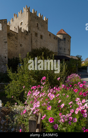 L'Italia, Europa, Südtirol Alto Adige, Alto Adige, Alto Adige, Castelbello, Castelbello, Castelbello, castello, fiori, autunno Foto Stock