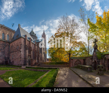 Germania, Europa, Rheinland Pfalz, Worm, cattedrale, la chiesa, il monastero, foresta, legno, alberi, autunno Foto Stock