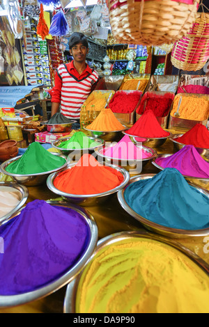 India India del Sud, Asia, Karnataka, Mysore Devarala, Mercato delle spezie shop, colorati, colori, mercato, ordine, shop, spezie colo Foto Stock
