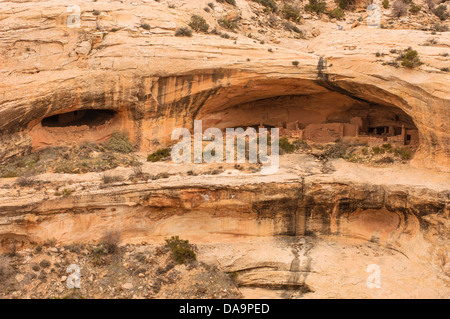 Il maggiordomo lavare Anasazi rovine a Cedar Mesa. Foto Stock