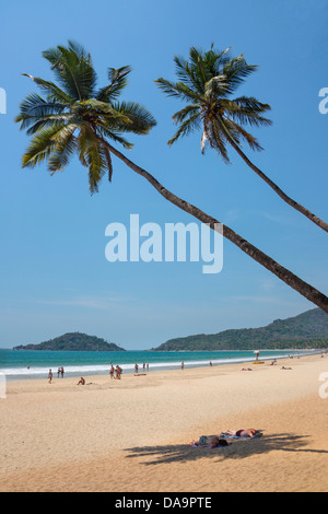 India India del Sud, Asia, Goa, Palolem Beach, Palolem, spiaggia, bella, barche, colore, colorato, palme, turistico, turiste Foto Stock