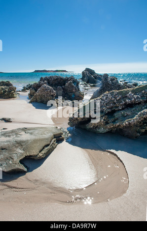 Rocce e gusci di cozze alla sabbiosa spiaggia orientale di Cape Leveque, Dampier Peninsula, Kimberley, Australia occidentale Foto Stock