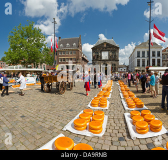 Paesi Bassi, Olanda, Europa, Gouda, formaggio, tradizione, mercato, città, villaggio, estate, persone, a cavallo e in carrozza, Foto Stock