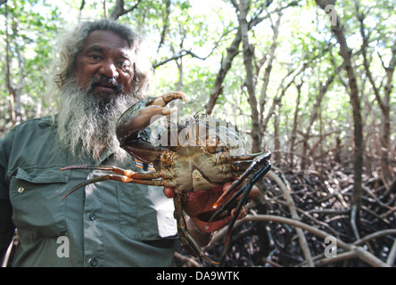 Mudcrabbing con gli indigeni tour guida Brian Lee nelle mangrovie vicino ad un punto del braccio, Cape Leveque, Dampier Peninsula Foto Stock