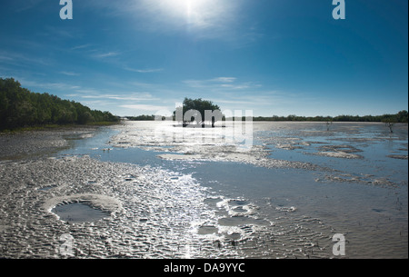 Mangrove velme a bassa marea in un punto del braccio, Cape Leveque, Kimberley, Australia occidentale Foto Stock