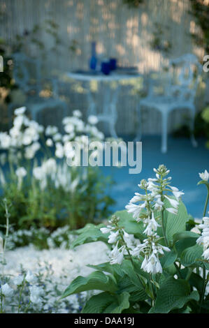 RHS Hampton Court Palace Flower Show, Surrey, Inghilterra. 8 Luglio, 2013. Willow Pattern, un giardino estivo nella zona di fuga. Progettato da Sue Thomas Credito: Malcolm Park/Alamy Live News Foto Stock