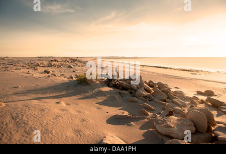 La luce del pomeriggio sulle rive sabbiose di Cape Leveque vicino ad un punto del braccio, Dampier Peninsula, Kimberley Foto Stock