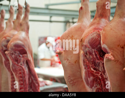 (Dpa) file di un file immagine datata 18 settembre 2010 della Lean Hogs in Chemnitz, Germania. A causa lo scandalo della diossina in Germania, la Corea del Sud ha interrotto l'importazione di carni suine e di pollame dalla Germania il 08 gennaio 2011. Foto: Hendrik Schmidt Foto Stock