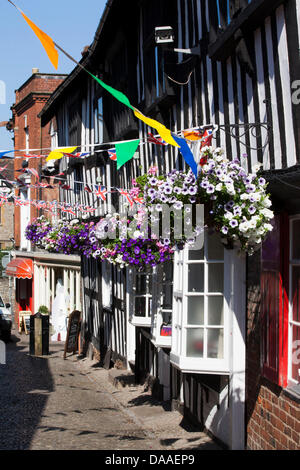 Ledbury Poesia Festival. Ledbury. Herefordshire. Regno Unito. Foto Stock