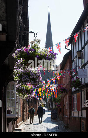 Ledbury Poesia Festival. Ledbury. Herefordshire. Regno Unito. Foto Stock