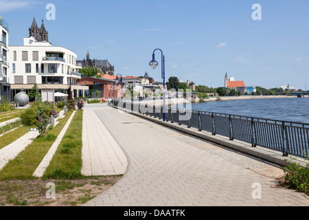 Elbufer Uferpromenade e il fiume Elba, di Magdeburgo, Sassonia Anhalt, Germania Foto Stock