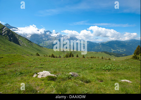 La Svizzera, Europa, pascolo, Willow, panorama, scenario, Alp, alp, alpes vaudoises, Vaud alpi, cloud, montagne, Les Diablerets, Foto Stock