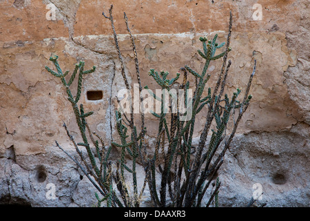 Dettaglio della casa lunga, una scogliera preistorica abitazione in Frijoles Canyon in Bandelier National Monument, Nuovo Messico. Foto Stock