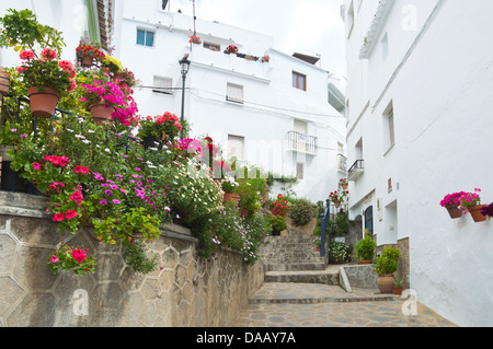 Competa, villaggio, Nerja, Malaga, La Axarquia, Costa del Sol, Spagna Foto Stock