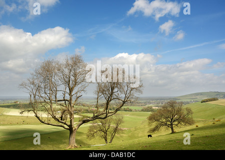 Una vista nord est attraverso il pittoresco Steyning Bowl nel South Downs National Park in West Sussex. Foto Stock