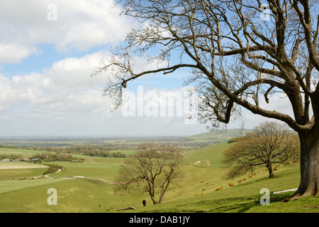 Una vista nord est attraverso il pittoresco Steyning Bowl nel South Downs National Park in West Sussex. Foto Stock