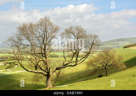 Una vista nord est attraverso il pittoresco Steyning Bowl nel South Downs National Park in West Sussex. Foto Stock