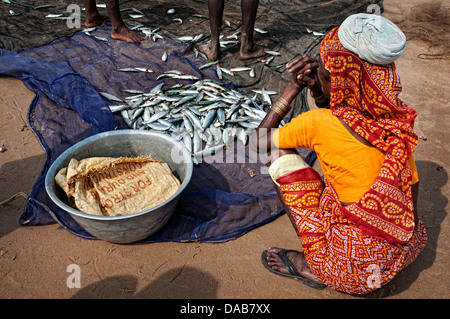 Donna seduta accanto a pescare per la vendita sulla spiaggia. Il Puri, Orissa, India Foto Stock