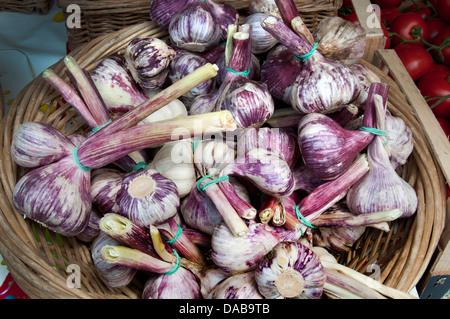 Aglio Ortolano bel mercato vecchio ( Cours Saleya Square ) Costa Azzurra Costa Azzurra Francia Foto Stock