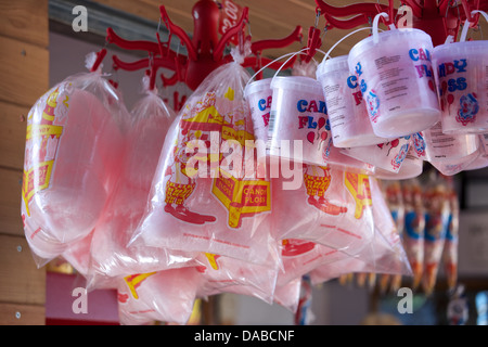 Dragon Boat racing in Warwick sul fiume Avon al 2013 Giochi aziendale Foto Stock