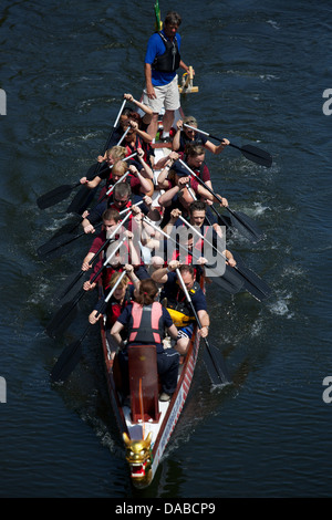 Dragon Boat racing in Warwick sul fiume Avon al 2013 Giochi aziendale Foto Stock