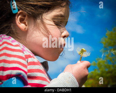 Bambina insufflazione di una testa di tarassaco e la realizzazione di un desiderio come i semi galleggiante di distanza Foto Stock