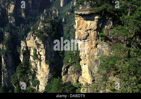 Quarzite sottili pinnacoli e picchi di arenaria a Wulingyuan Area d'interesse storico e paesaggistico in Zhangjiajie National Forest Park nella provincia del Hunan Cina Foto Stock