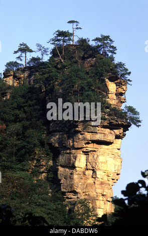 Quarzite sottili pinnacoli e picchi di arenaria a Wulingyuan Area d'interesse storico e paesaggistico in Zhangjiajie National Forest Park nella provincia del Hunan Cina Foto Stock