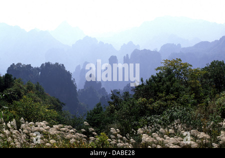 Quarzite sottili pinnacoli e picchi di arenaria a Wulingyuan Area d'interesse storico e paesaggistico in Zhangjiajie National Forest Park nella provincia del Hunan Cina Foto Stock