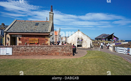 Scottish uccelli marini (centro destra) St. Andrew's vecchio portico Kirk & Ristorante Rocketeer (sinistra) a North Berwick East Lothian in Scozia Foto Stock