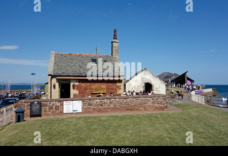 Scottish uccelli marini (centro destra) St. Andrew's vecchio portico Kirk & Ristorante Rocketeer (sinistra) a North Berwick East Lothian in Scozia Foto Stock