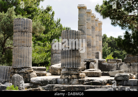 Rovine del IV secolo A.C. il Tempio greco di Athena a Priene, costa Egea, Turchia Foto Stock