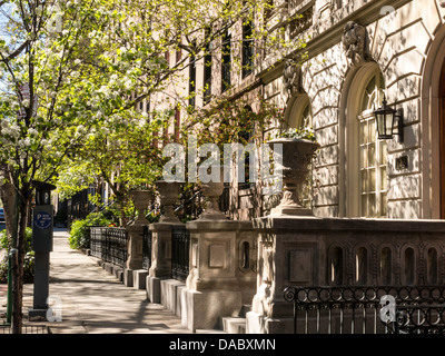 Le pietre dorate nel quartiere storico di Murray Hill, New York City, USA Foto Stock