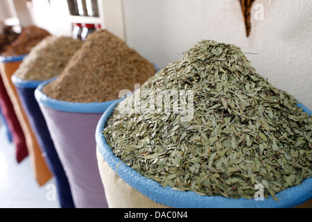 Delle cure tradizionali a livello locale speziale del negozio, Marrakech, Marocco, Africa Settentrionale, Africa Foto Stock