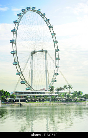 Singapore Flyer - la più grande ruota panoramica del mondo. Foto Stock