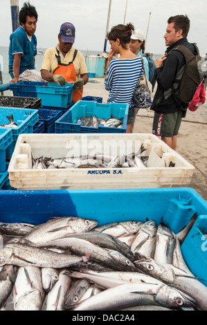 I pescatori di sardine pesce pesci casse di industria di scatole di catture in Los Organos villaggio nei pressi di mancora, Perù. Foto Stock