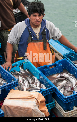 I pescatori di sardine pesce pesci casse di industria di scatole a Los Organos villaggio nei pressi di mancora, Perù. Foto Stock