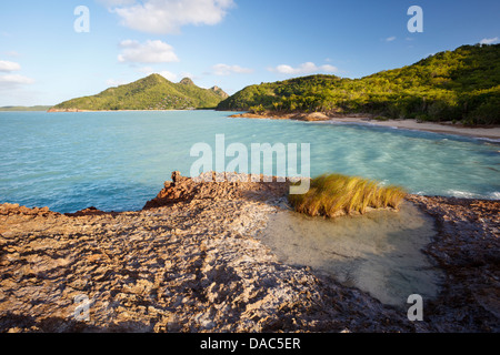 Segreto spiaggia dei Caraibi con un laghetto in primo piano e il mare turchese, Antigua. Foto Stock