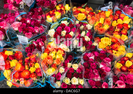 Bouquet di rose in vendita nella parte anteriore del negozio di fiori- rosso arancione, giallo, rosa e viola Foto Stock