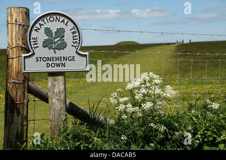 Stonehenge Wiltshire, Inghilterra GB UK 2013 Foto Stock