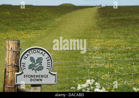 Stonehenge Wiltshire, Inghilterra GB UK 2013 Foto Stock