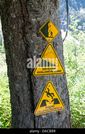 Cartelli di avvertimento su un albero in Cascade Mountain Range Foto Stock