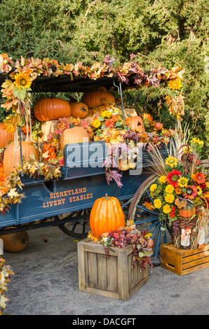 Zucche di Halloween a Disneyland, Anaheim, California. Foto Stock