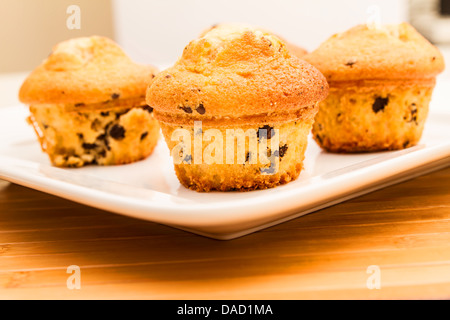 La vaniglia con scaglie di cioccolato muffin su una piastra bianca Foto Stock