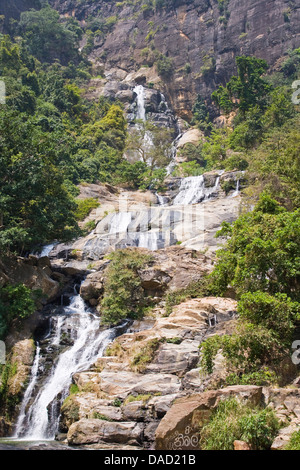 Asia,Sri Lanka,provincia centrale,Nuwara Eliya,cascata Foto Stock