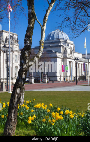 Il Museo Nazionale del Galles, Cardiff, Galles, Regno Unito, Europa Foto Stock