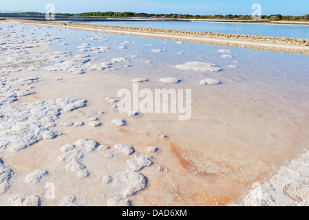 Salt Lake, Formentera, isole Baleari, Spagna, Mediterraneo, Europa Foto Stock