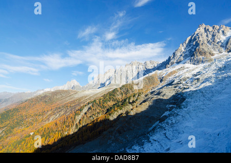 I colori autunnali nella valle di Chamonix, Chamonix Alta Savoia, sulle Alpi francesi, Francia, Europa Foto Stock