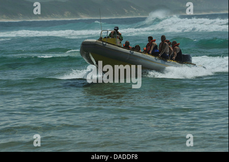 Barca Rigida Gonfiabile tornando a shore subacquei dopo reef dive Baia di Sodwana potete KwaZulu-Natal Sud Africa Sport Travel Foto Stock